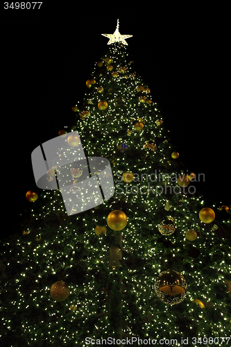 Image of christmas tree and lights 