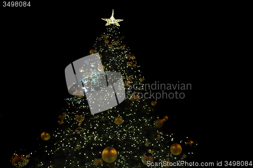 Image of christmas tree and lights 