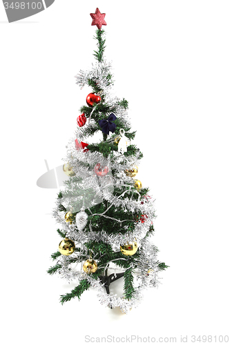 Image of christmas tree isolated 