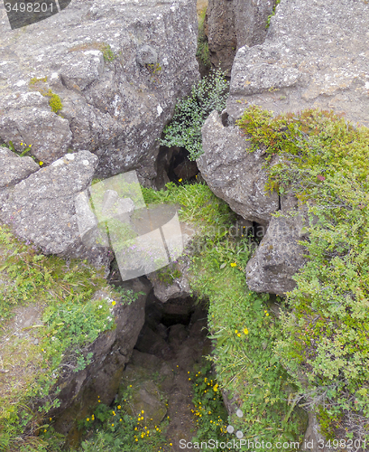 Image of overgrown stones