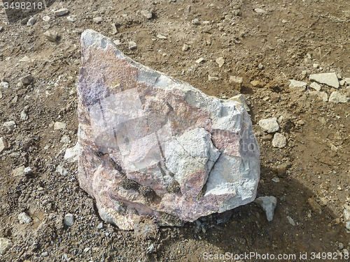 Image of boulder in Iceland