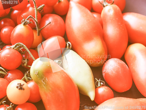 Image of Retro looking Tomato vegetable