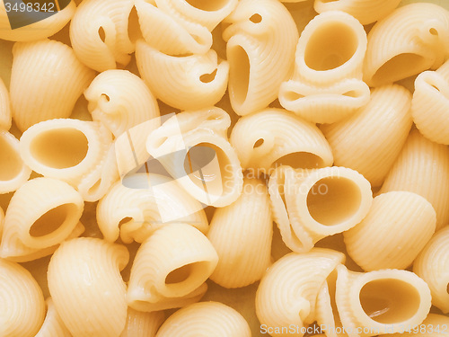 Image of Retro looking Lumache pasta food