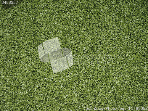 Image of Green artificial synthetic grass meadow background