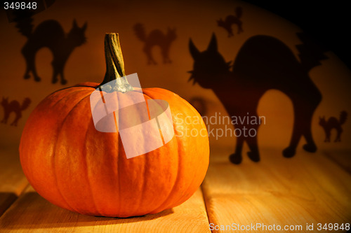 Image of One pumpkin