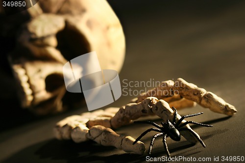 Image of Skull and hand bone