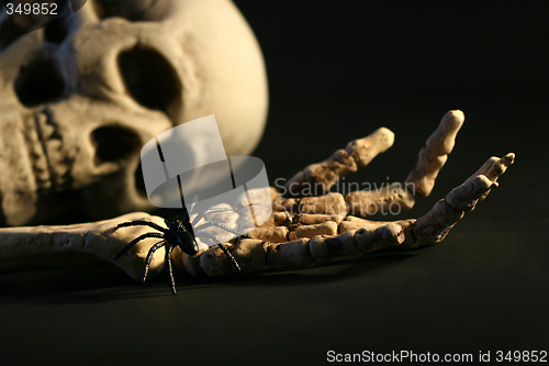 Image of Scary skeleton