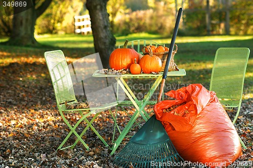 Image of Raking autumn leaves