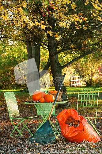 Image of Raking leaves