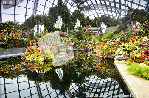 Image of View of Cloud Forest at Gardens by the Bay