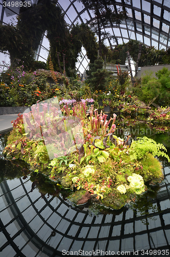 Image of Cloud Forest at Gardens by the Bay in Singapore