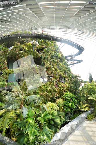 Image of Cloud Forest at Gardens by the Bay in Singapore