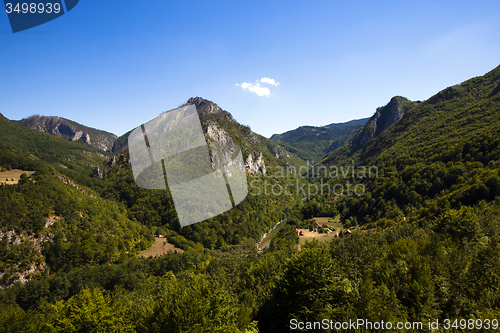 Image of river canyon Tara  