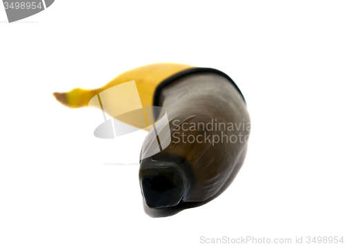 Image of Black condom