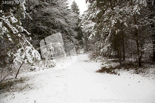 Image of  road winter