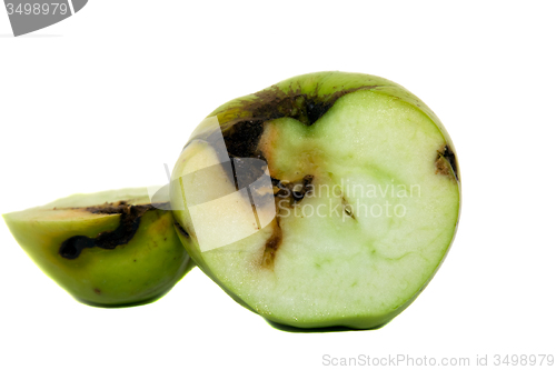 Image of Green Apple 