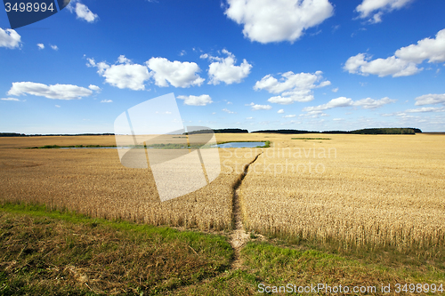 Image of agricultural field 