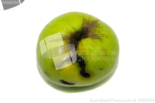 Image of Green Apple 