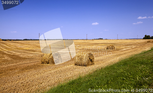 Image of straw stack 