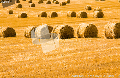 Image of agricultural field 