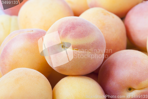 Image of heap of apricots  