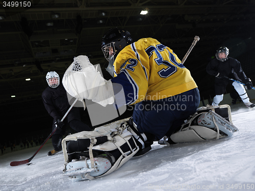 Image of ice hockey goalkeeper