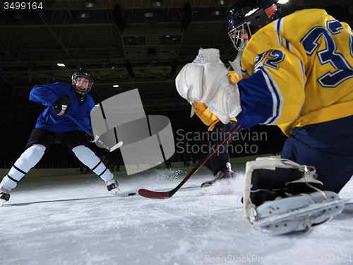 Image of ice hockey goalkeeper