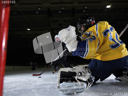 Image of ice hockey goalkeeper