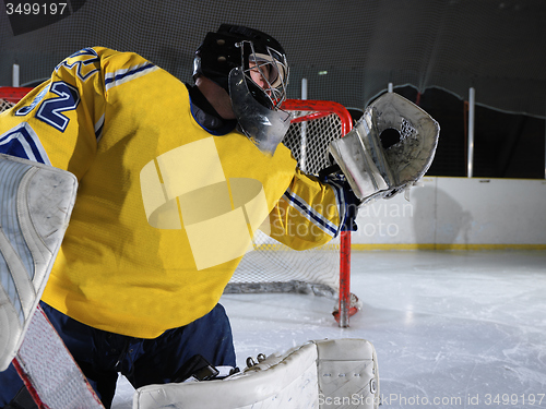 Image of ice hockey goalkeeper