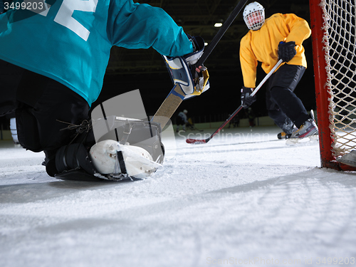 Image of ice hockey goalkeeper