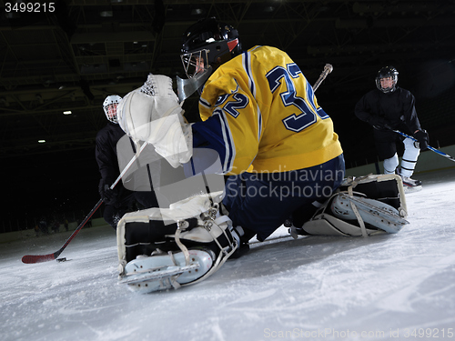 Image of ice hockey goalkeeper