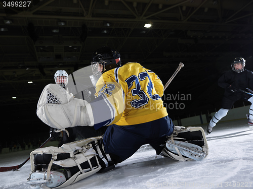 Image of ice hockey goalkeeper