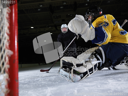 Image of ice hockey goalkeeper