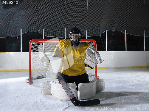 Image of ice hockey goalkeeper