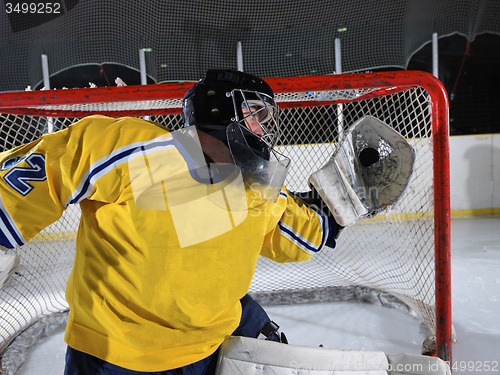 Image of ice hockey goalkeeper