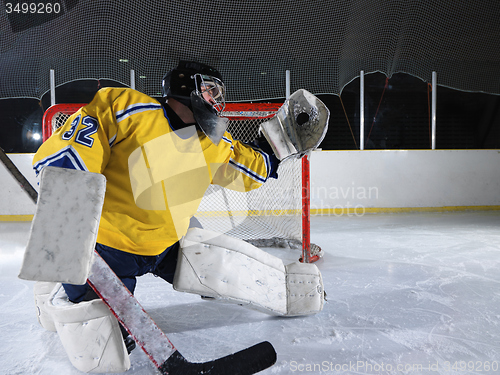 Image of ice hockey goalkeeper