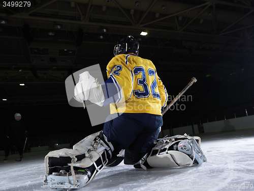 Image of ice hockey goalkeeper