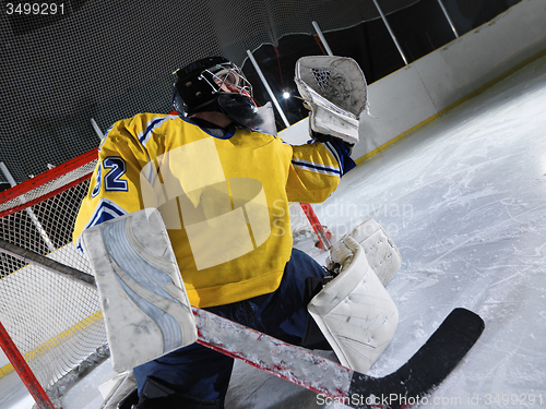 Image of ice hockey goalkeeper