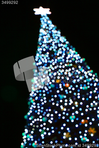 Image of xmas tree