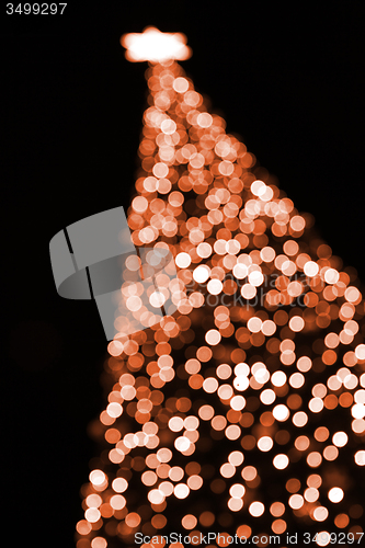 Image of xmas tree