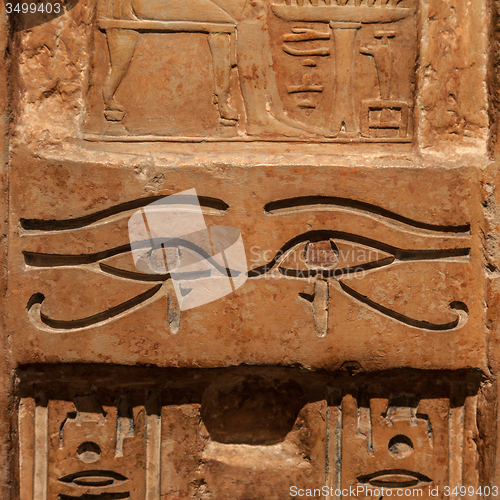 Image of Hieroglyphic detail