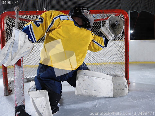 Image of ice hockey goalkeeper