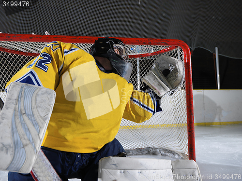 Image of ice hockey goalkeeper