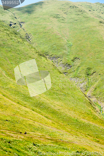 Image of Hiking in Georgia Mountain