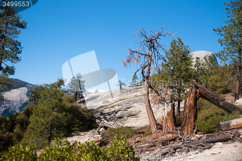 Image of Hiking panaramic train in Yosemite