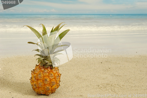 Image of Pineapple and exotic beach