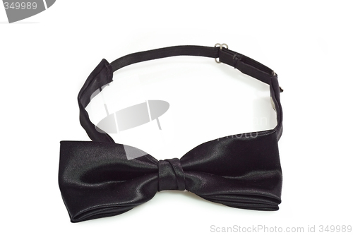 Image of Bow Tie