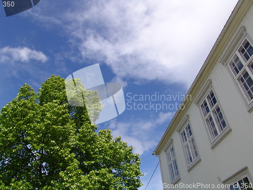 Image of House and Tree