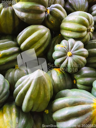 Image of Green Acorn squashes