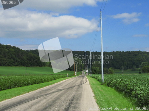 Image of Lonely Country Road